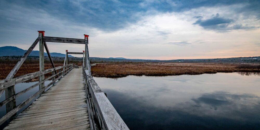 marais-riviere-aux-cerises-25-avril-2200
