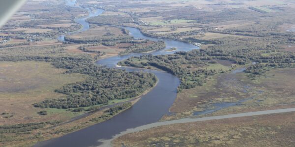 embouchure STF embouchure STF