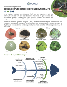 Fiche PP synthèse_EEE_Page_1